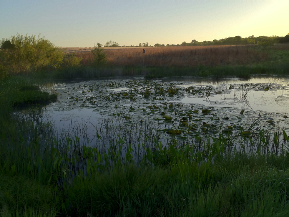 Full Size Image = 5189 K