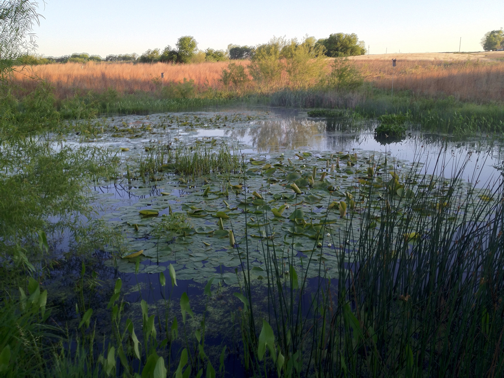 Full Size Image = 6827 K