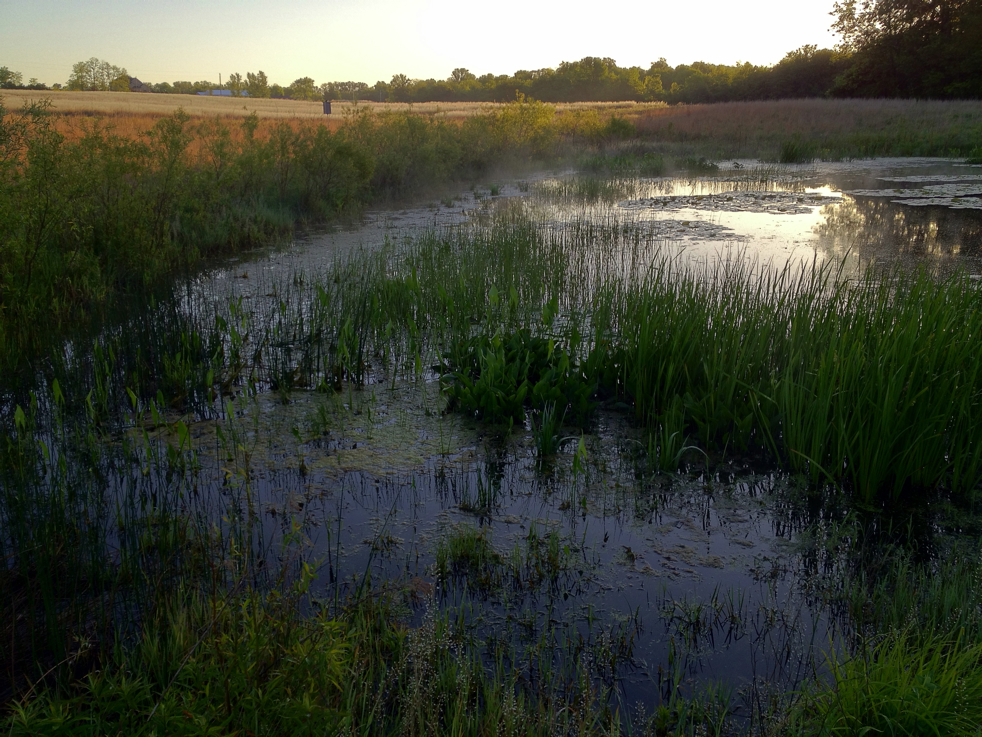 Full Size Image = 6272 K