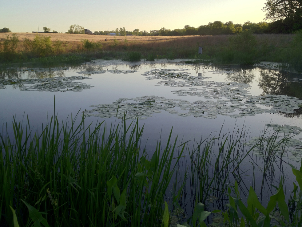 Full Size Image = 4992 K