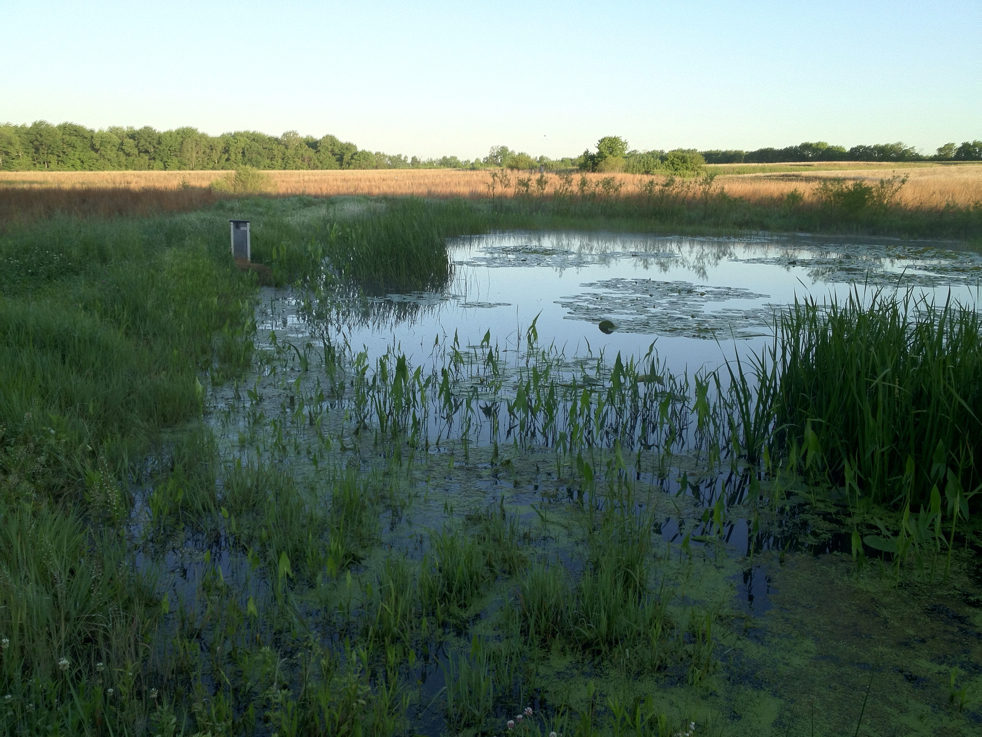 Full Size Image = 5907 K