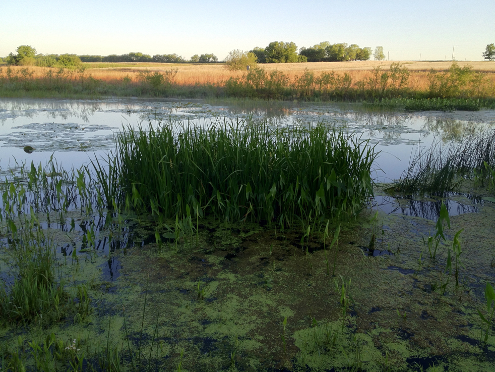 Full Size Image = 6960 K