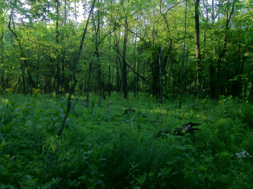 Full Size Image = 6973 K