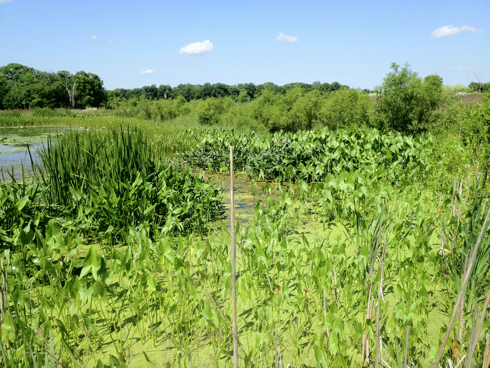 Full Size Image = 9285 K