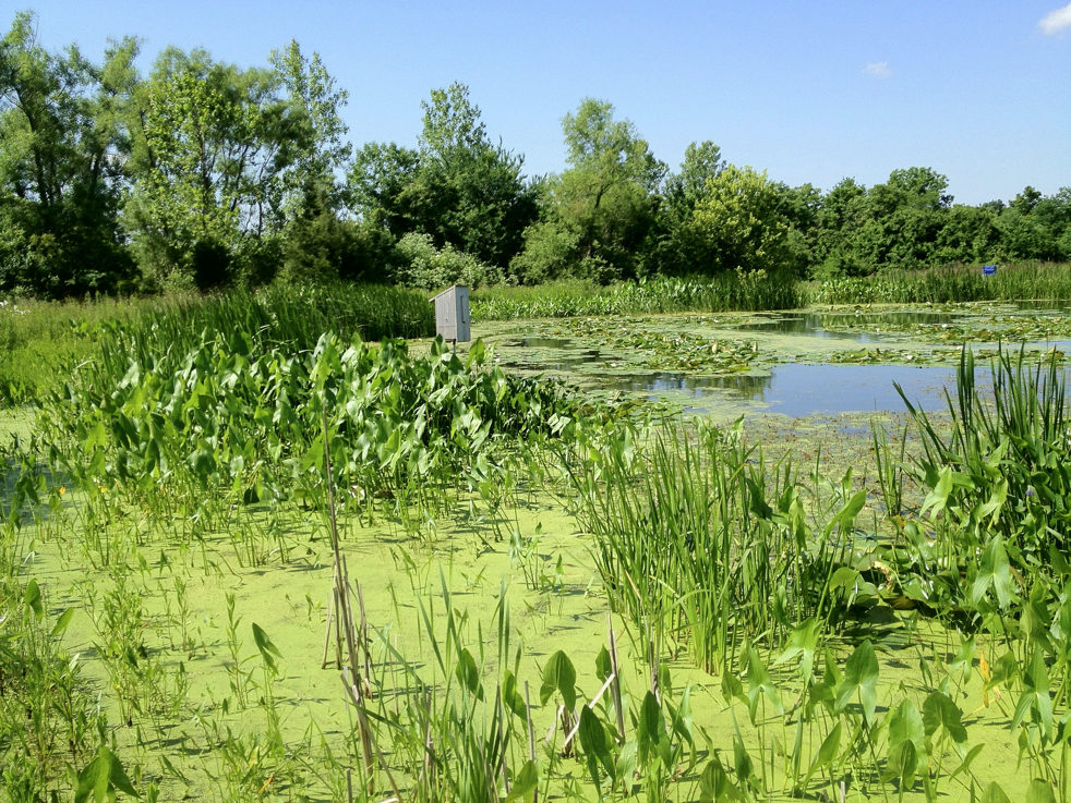 Full Size Image = 9352 K