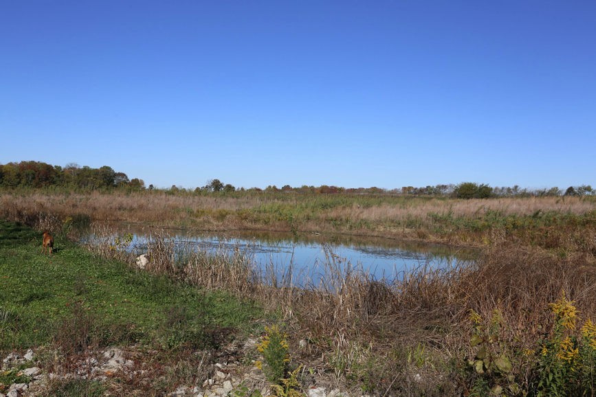 Full Size Image = 1117 K