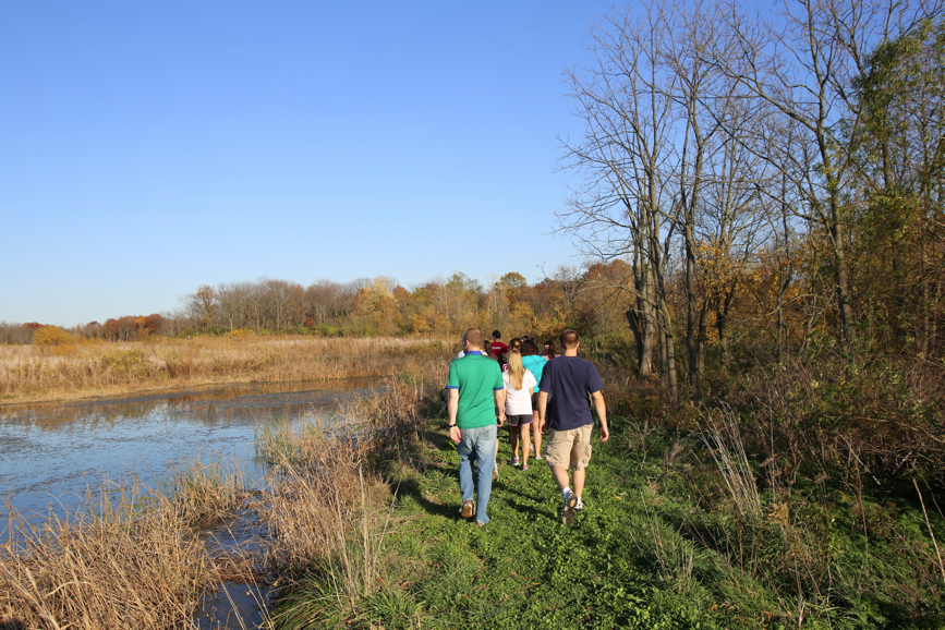 Full Size Image = 2184 K