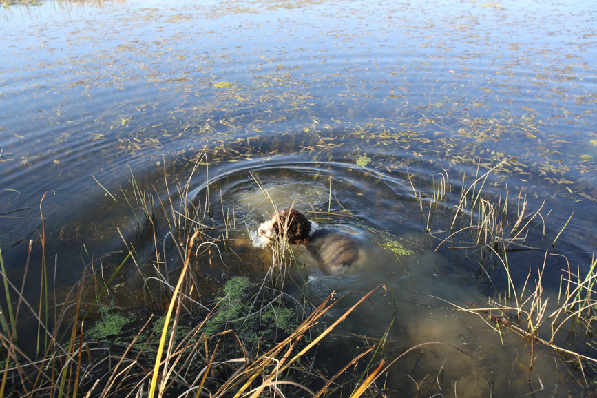 Full Size Image = 1461 K