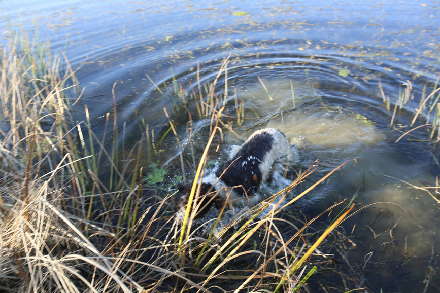 Full Size Image = 1280 K