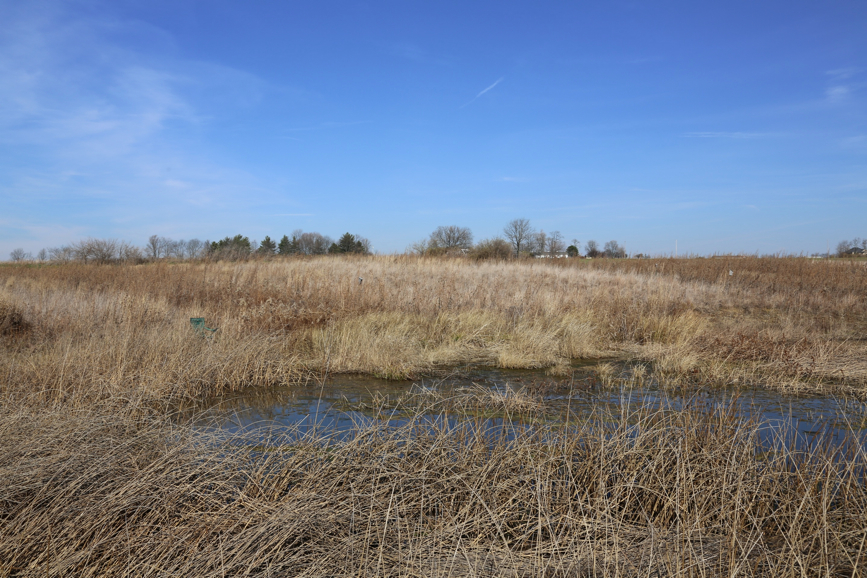 Full Size Image = 2077 K