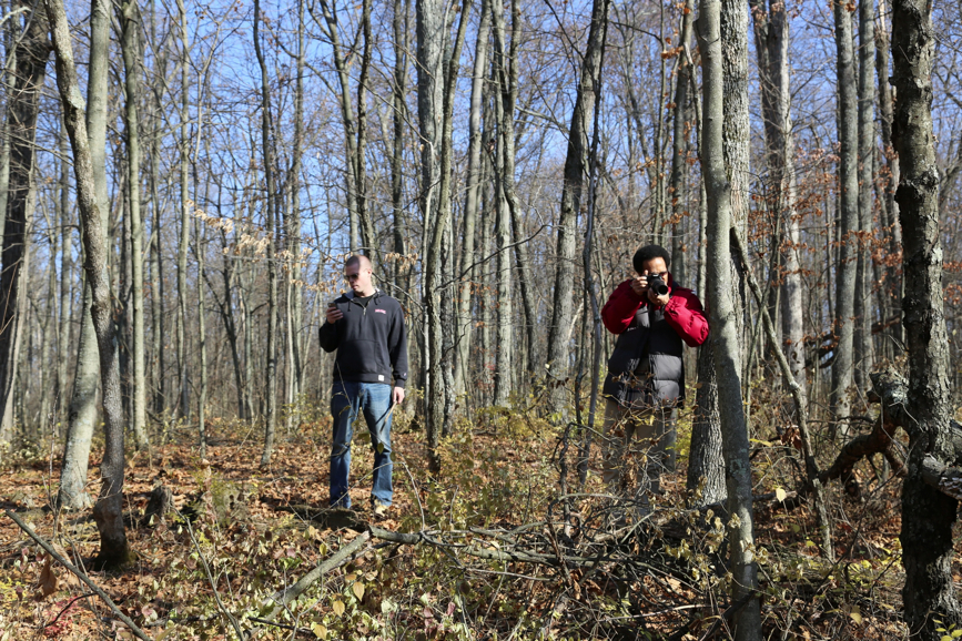 Full Size Image = 2450 K