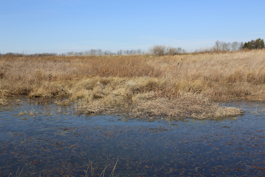 Full Size Image = 1805 K