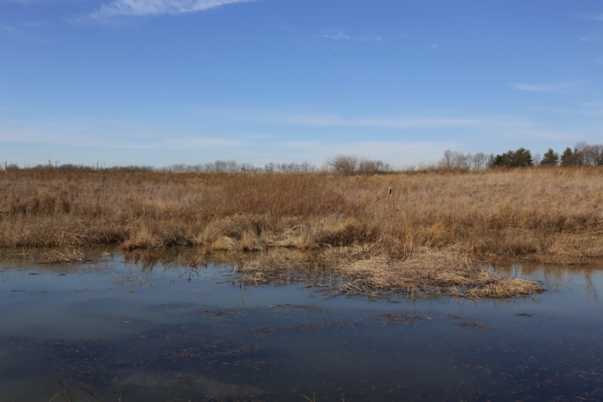 Full Size Image = 1202 K