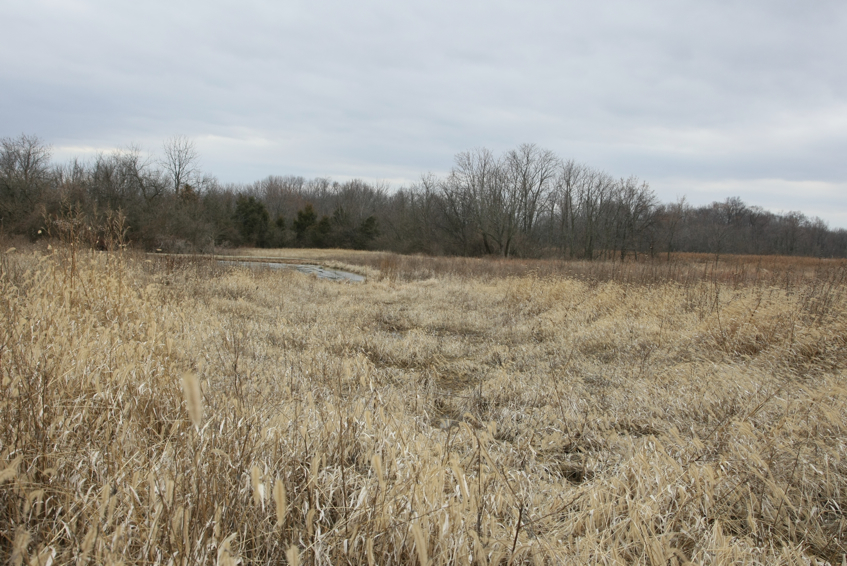 Full Size Image = 3595 K