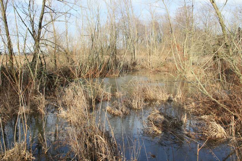 Full Size Image = 5178 K