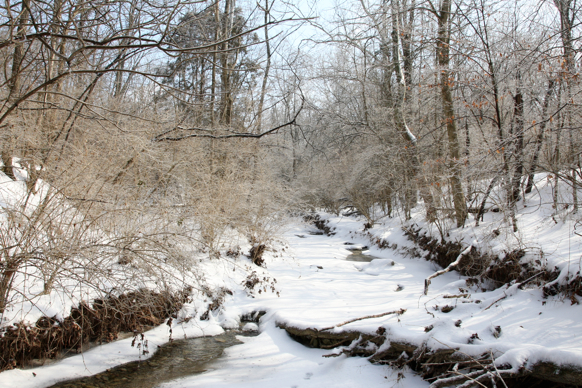 Full Size Image = 2993 K