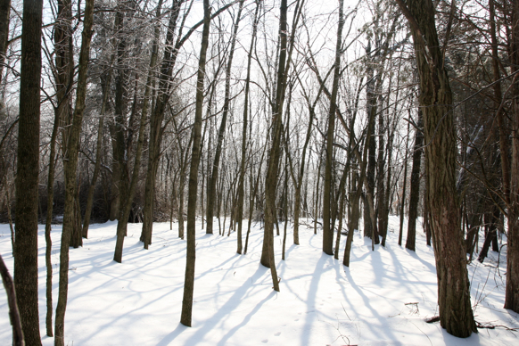 Full Size Image = 2587 K