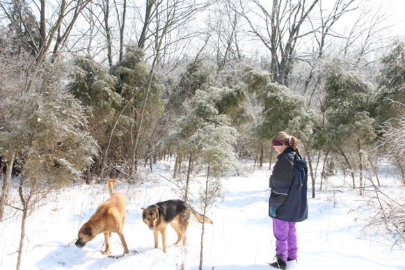 Full Size Image = 2531 K