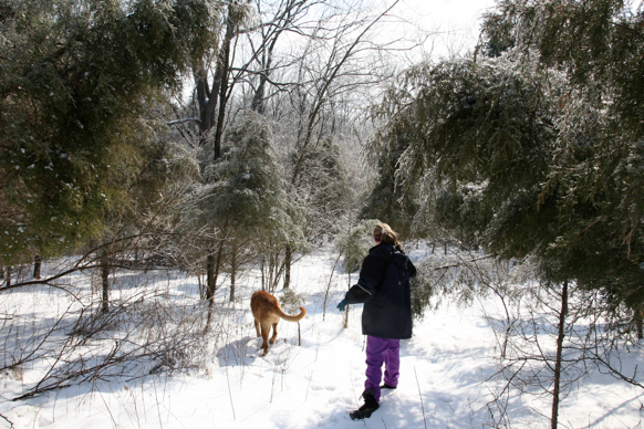 Full Size Image = 2754 K