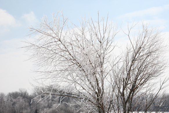 Full Size Image = 2019 K