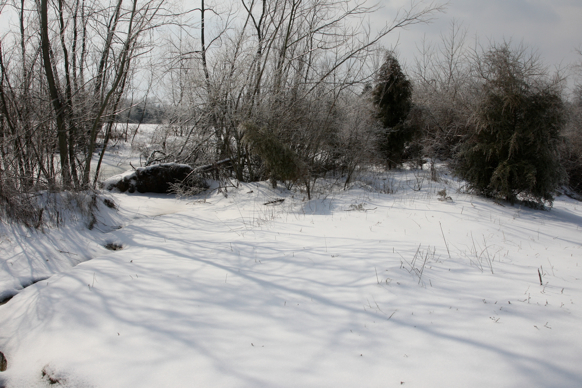 Full Size Image = 2057 K