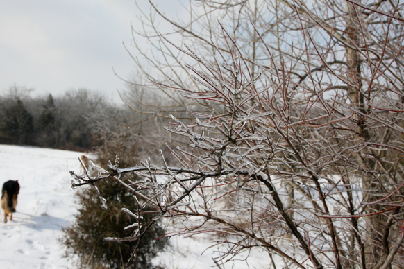 Full Size Image = 1674 K