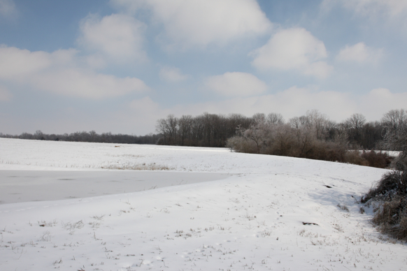 Full Size Image = 1223 K