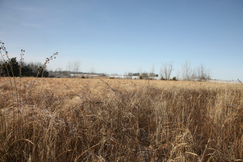 Full Size Image = 5464 K