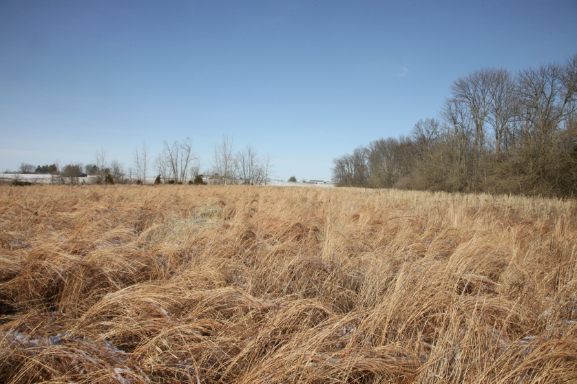 Full Size Image = 5732 K