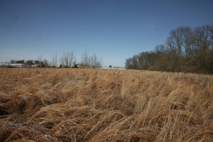 Full Size Image = 5431 K