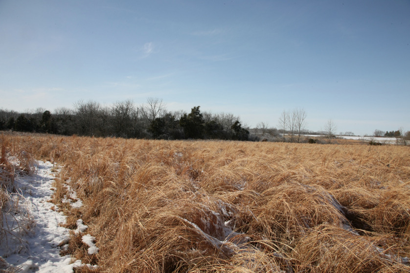 Full Size Image = 5161 K