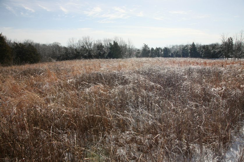 Full Size Image = 6214 K