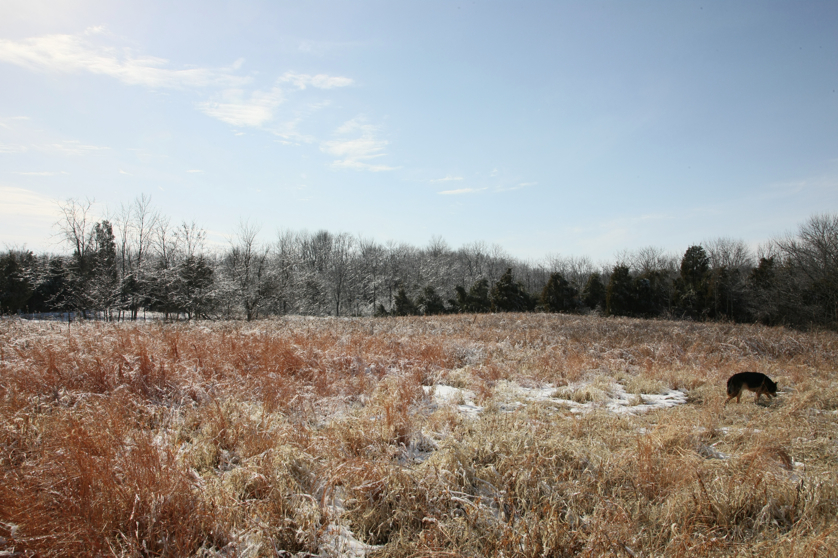 Full Size Image = 5313 K