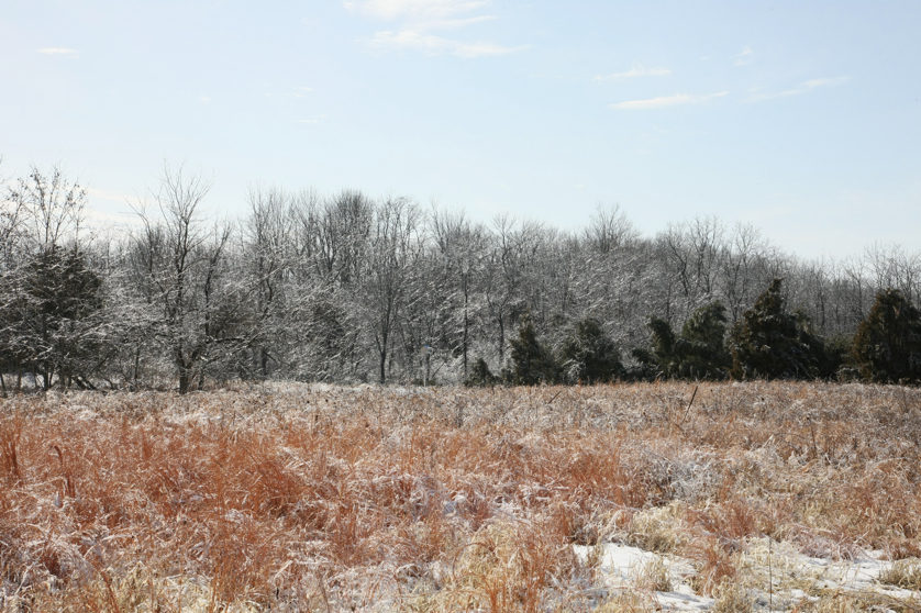 Full Size Image = 5934 K