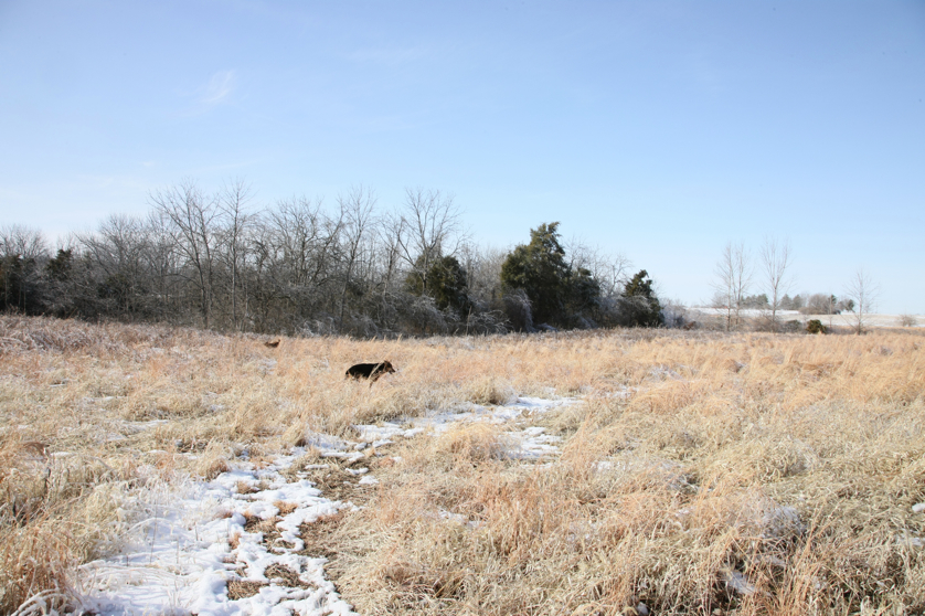 Full Size Image = 5577 K