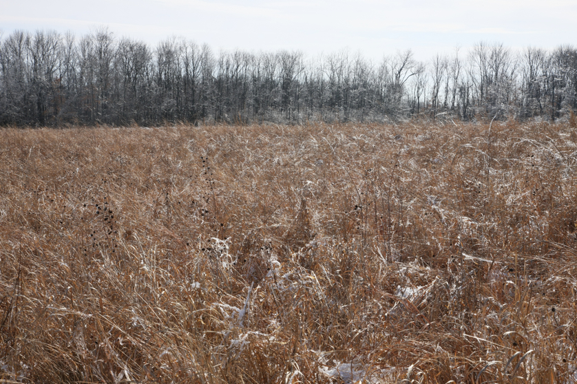 Full Size Image = 7187 K