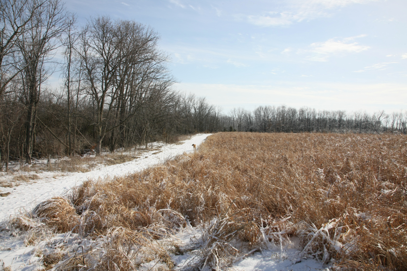 Full Size Image = 6121 K