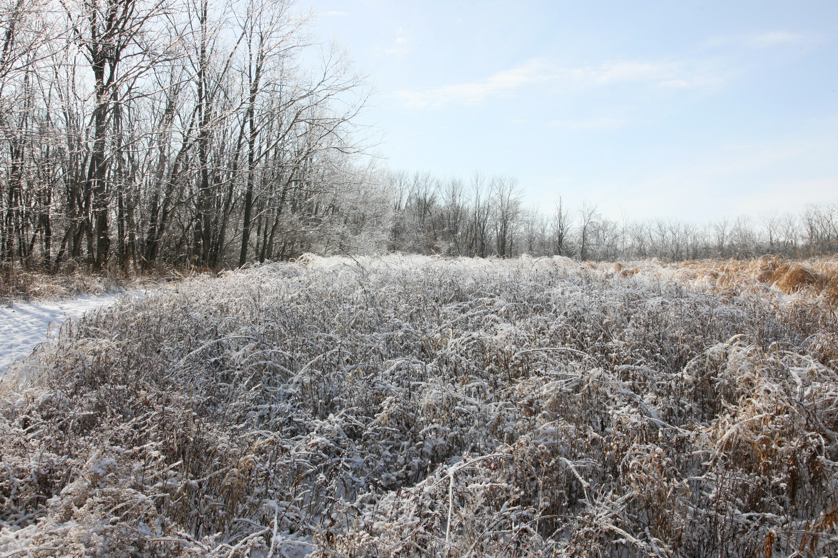 Full Size Image = 6903 K