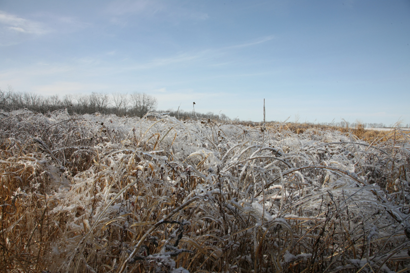 Full Size Image = 4913 K