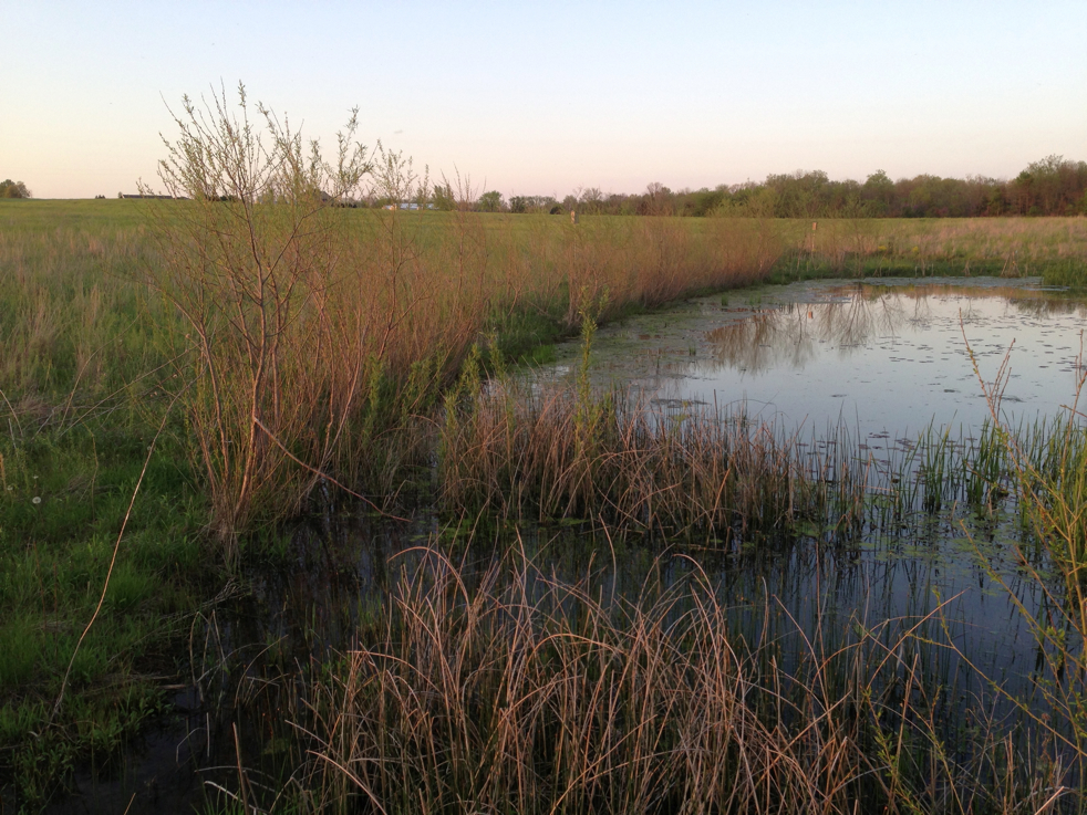 Full Size Image = 6024 K