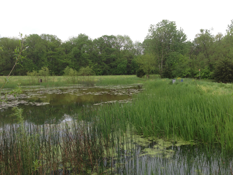 Full Size Image = 5897 K