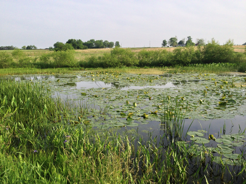 Full Size Image = 7683 K