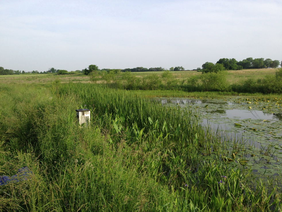 Full Size Image = 7052 K