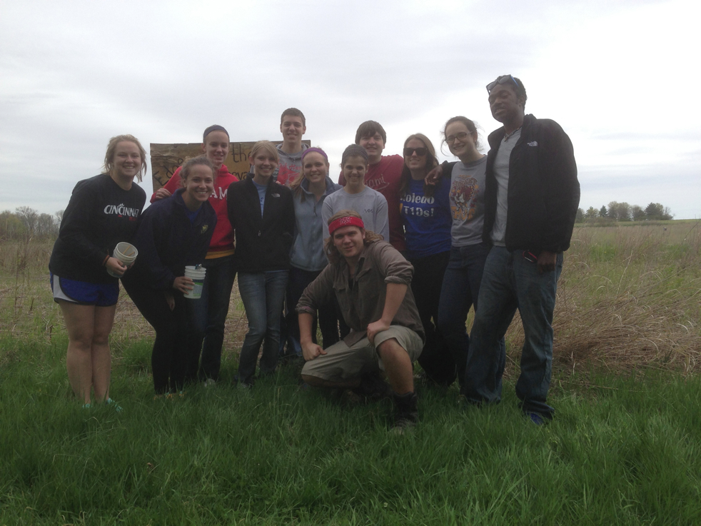 Full Size Image = 3805 K