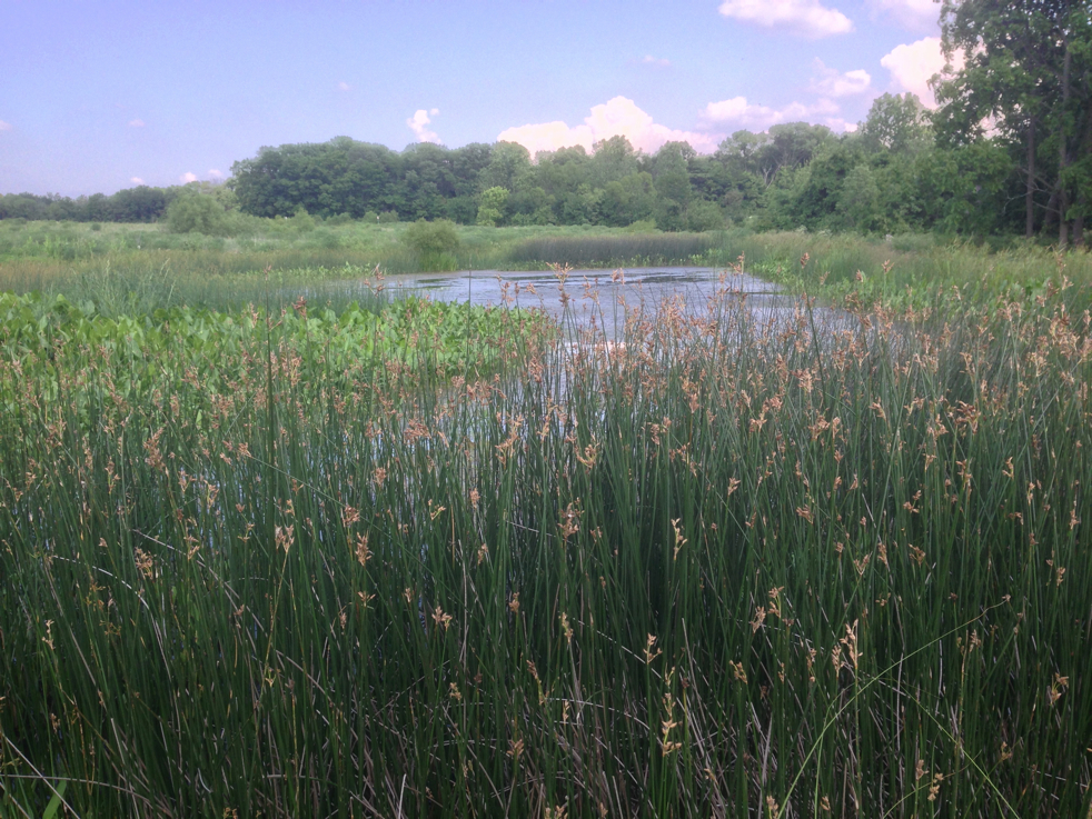 Full Size Image = 6366 K