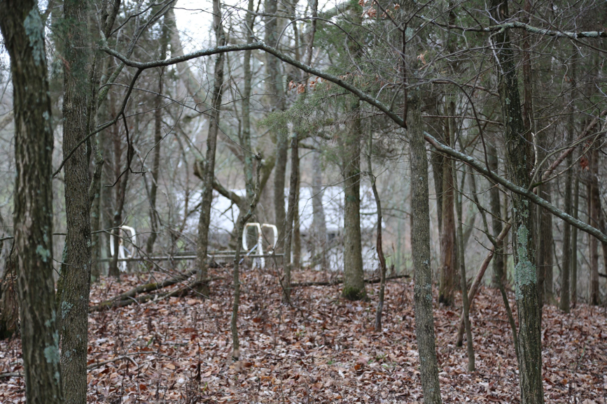 Full Size Image = 1024 K