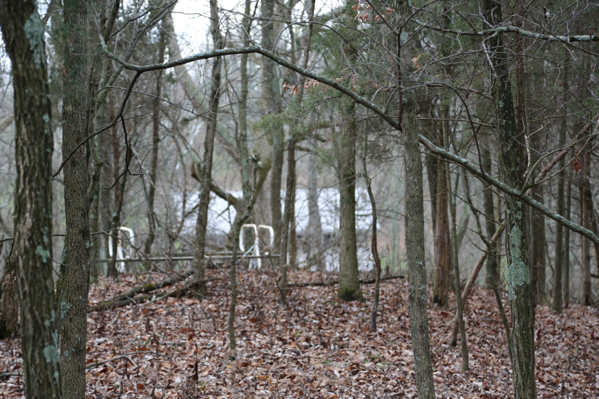 Full Size Image = 944 K