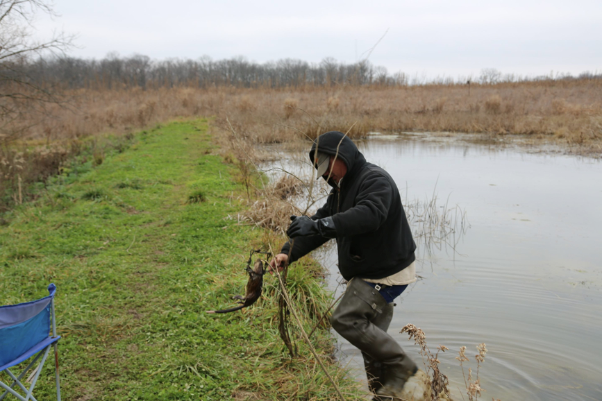 Full Size Image = 469 K