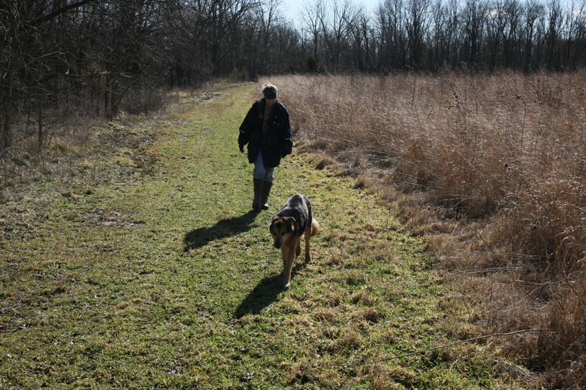 Full Size Image = 2948 K