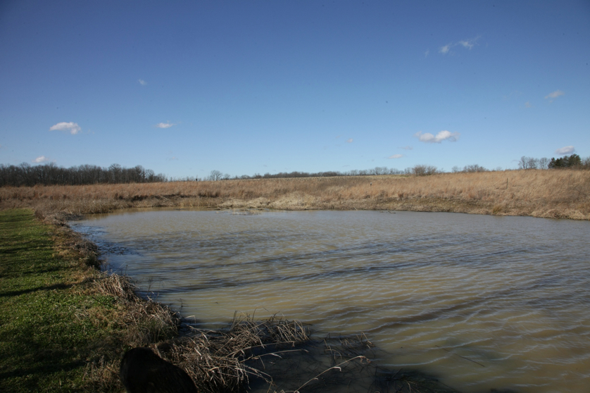 Full Size Image = 1128 K